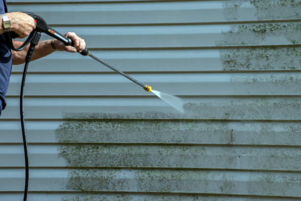 Best Local Pressure Washing Services  in Watervliet, MI