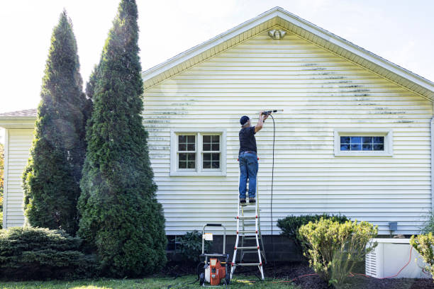 Best Affordable Power Washing  in Watervliet, MI
