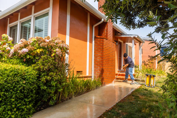 Best Best Pressure Washing Companies  in Watervliet, MI