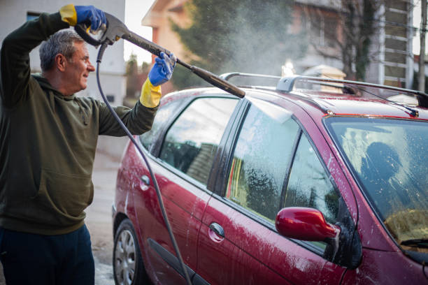 Best Roof Pressure Washing  in Watervliet, MI
