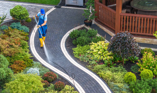 Best Affordable Power Washing  in Watervliet, MI